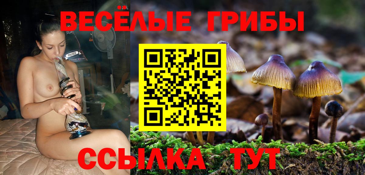 Галлюциногенные грибы мицелий  Галлюциногенные грибы GOLDEN TEACHER  Вход с VPN  Артём 